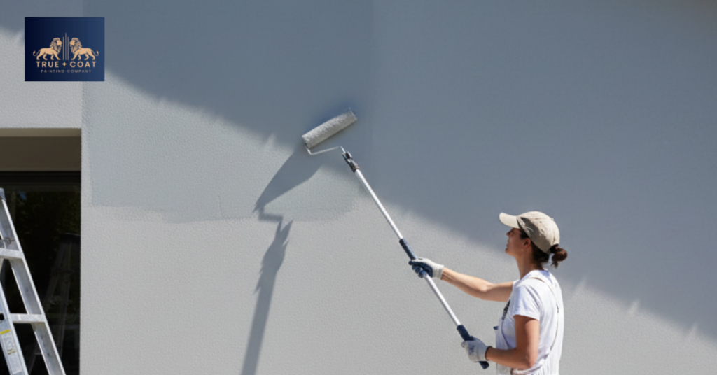 Best House Exterior Painters for Your Home
